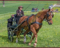1POSIEUX 0560